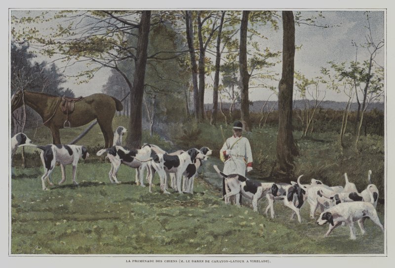 Pack of hounds of Baron de Carayon-Latour at Virelade, France by French Photographer