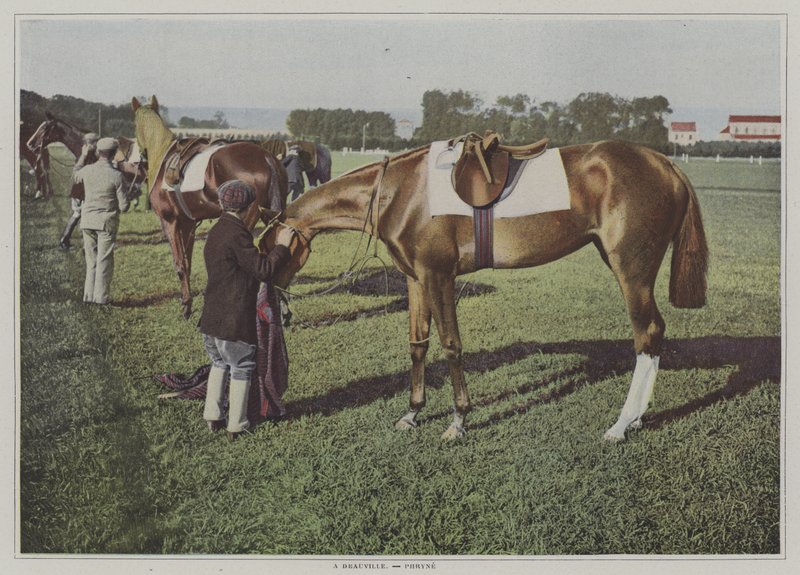 Racehorses at Deauville, France by French Photographer