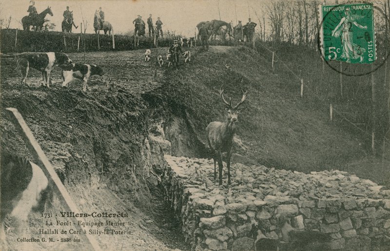 Villers-Cotterets. La Foret - Equipage Menier Hallali de Cerf a Silly-la-Poterie by French Photographer