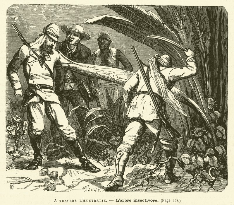 Across Australia (engraving) by French School