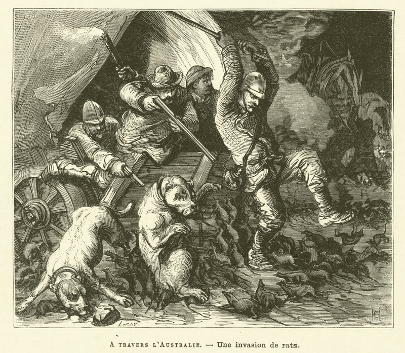 Across Australia (engraving) by French School