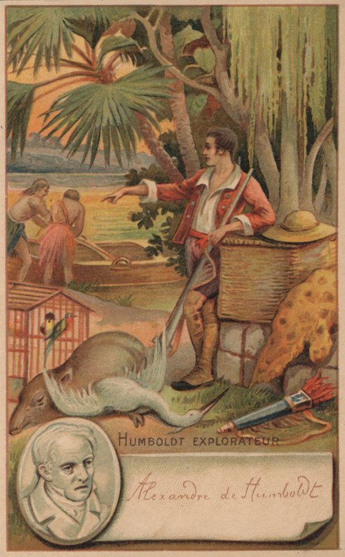 Alexander von Humboldt, Prussian Geographer, Naturalist and Explorer by French School