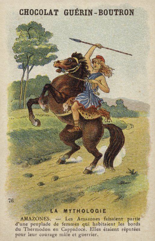 Amazons by French School