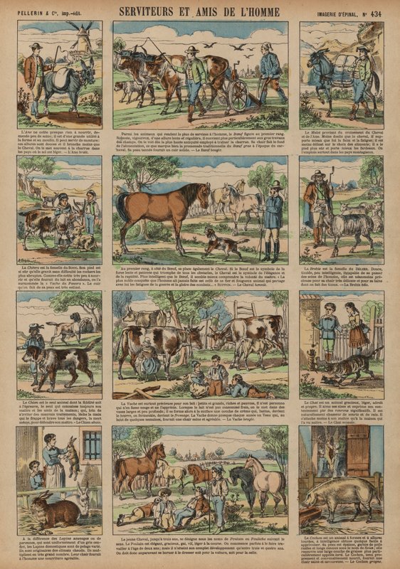 Animals Beneficial to Man by French School