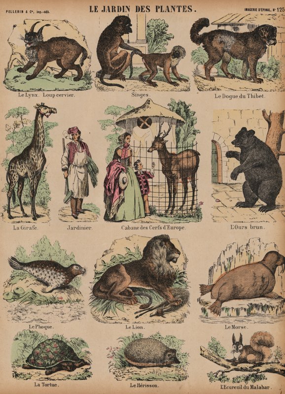 Animals of the Jardin des Plantes, Paris, France by French School