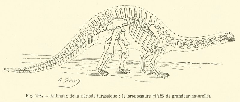 Animals of the Jurassic period, the brontosaurus by French School