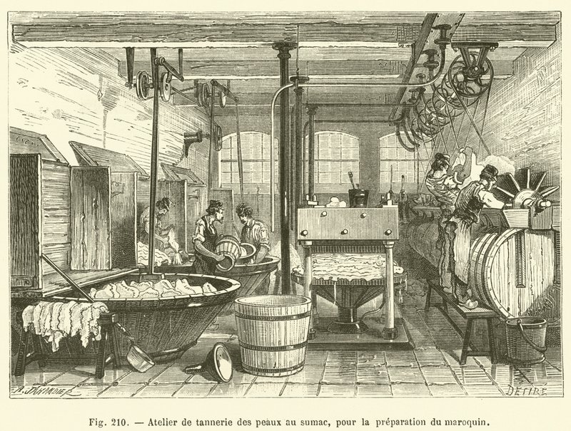 Tannery Workshop for Preparing Morocco Leather with Sumac (engraving) by French School