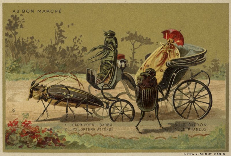 Au Bon Marche cards featuring anthropomorphic insects by French School