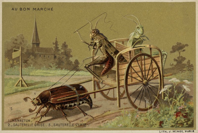 Au Bon Marche cards featuring anthropomorphic insects by French School