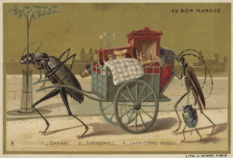 Au Bon Marche cards featuring anthropomorphic insects by French School
