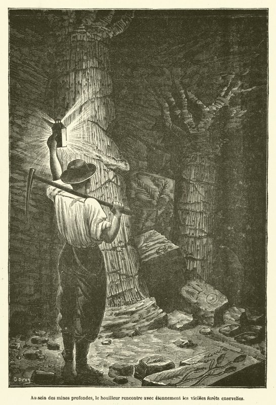 In the Depths of the Mines, the Miner Encounters with Astonishment the Ancient Buried Forests by French School