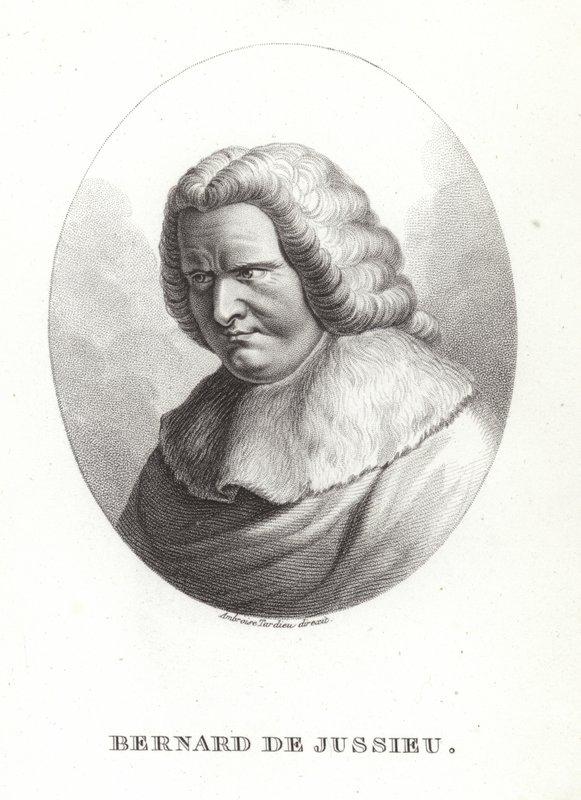 Bernard de Jussieu by French School