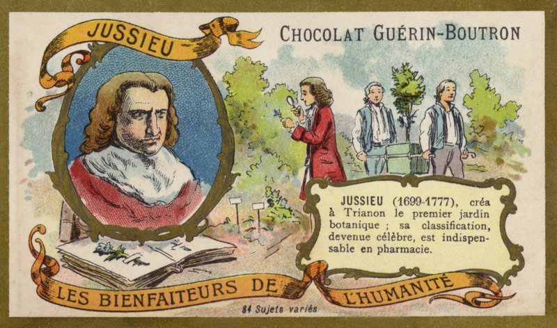 Bernard de Jussieu, French naturalist by French School