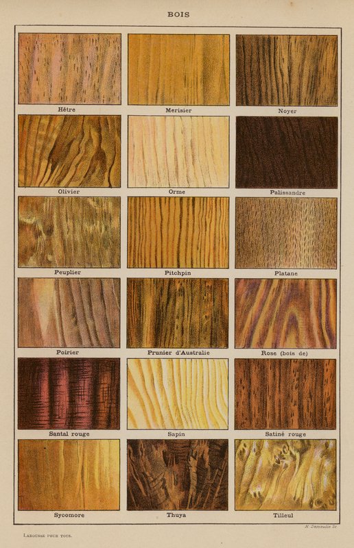 Wood by French School