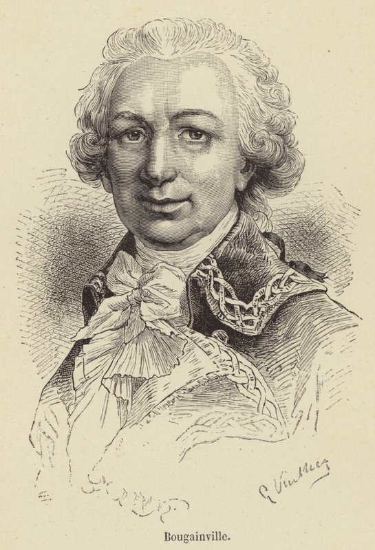 Bougainville (engraving) by French School
