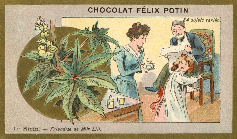 Castor oil - delicacy of Miss Lili by French School