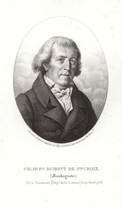 Charles Dumont de Sainte-Croix by French School