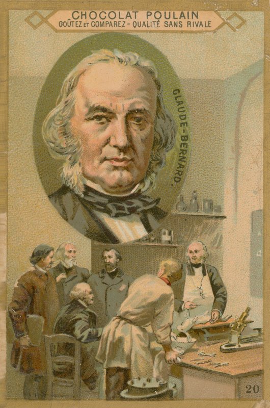 Claude Bernard, Chocolat Poulain Trade Card by French School