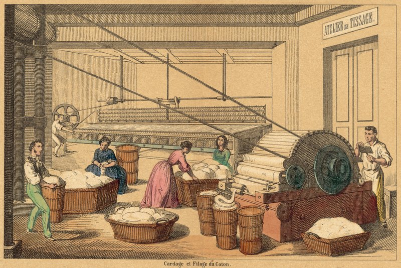 Cotton by French School