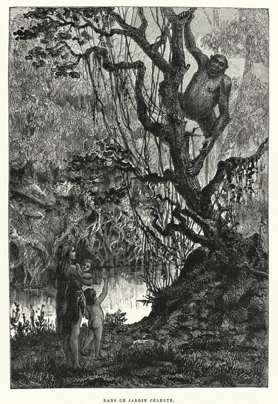 In This Celestial Garden by French School