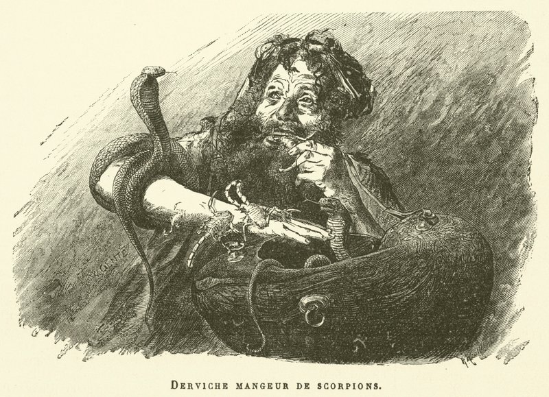 Dervish Scorpion Eater (engraving) by French School