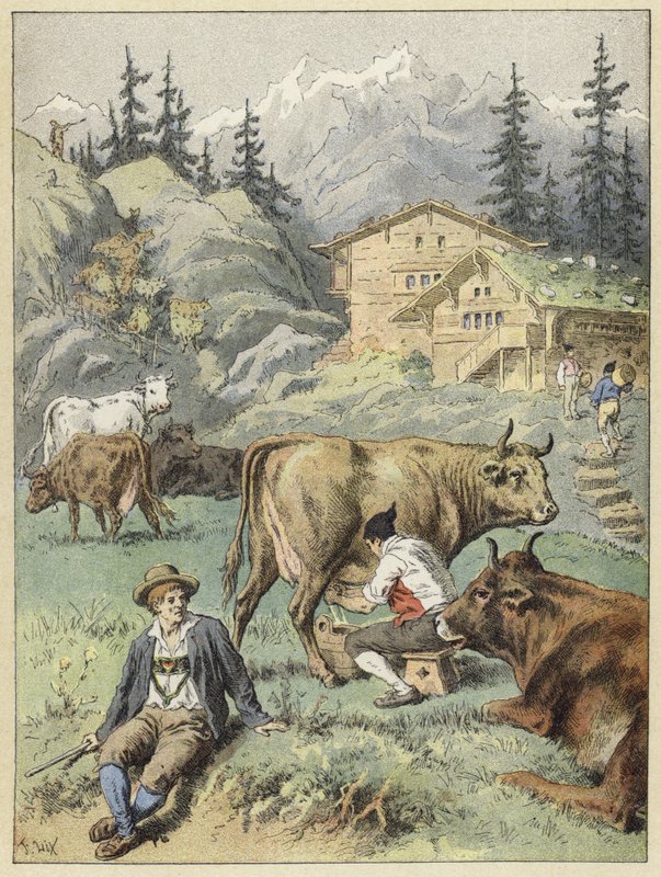 Evening milking near the chalets by French School