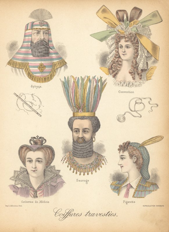 Extraordinary Hairstyles by French School