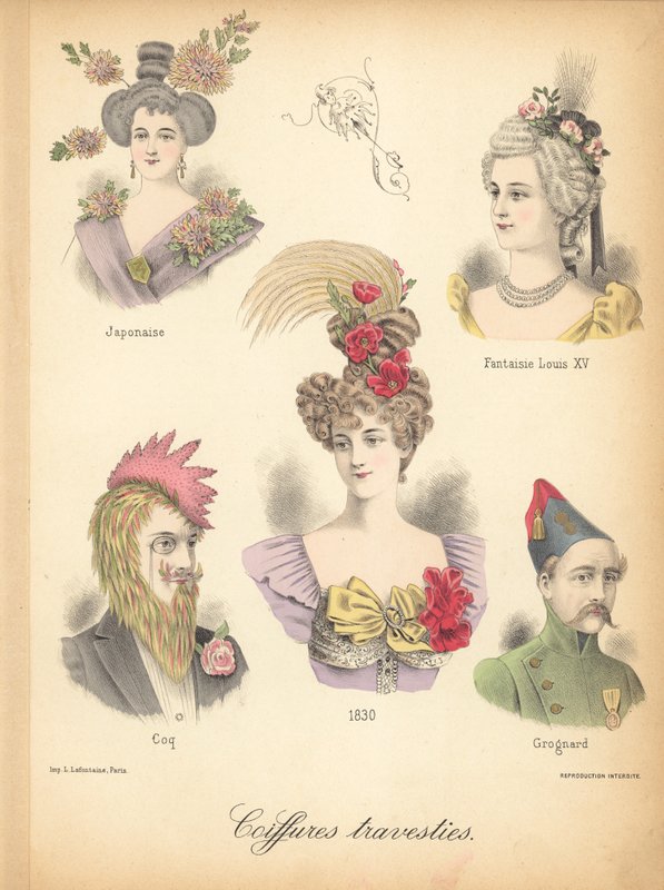 Extraordinary Hairstyles by French School