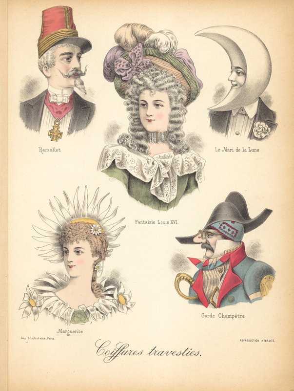 Extraordinary Hairstyles by French School