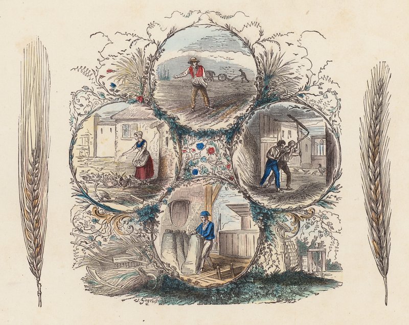 Farming of wheat and rye by French School