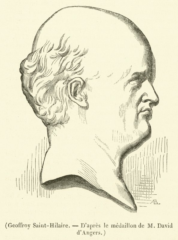 Geoffroy Saint-Hilaire (engraving) by French School