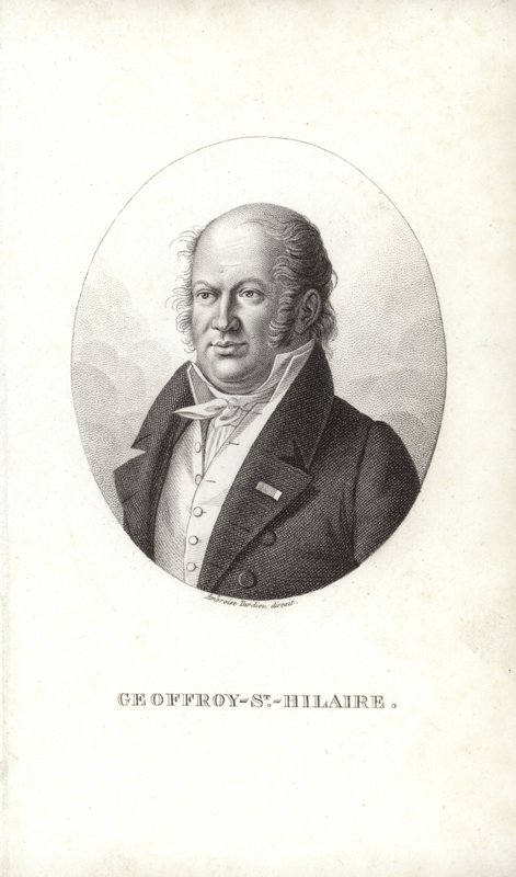 Geoffroy Saint-Hilaire by French School