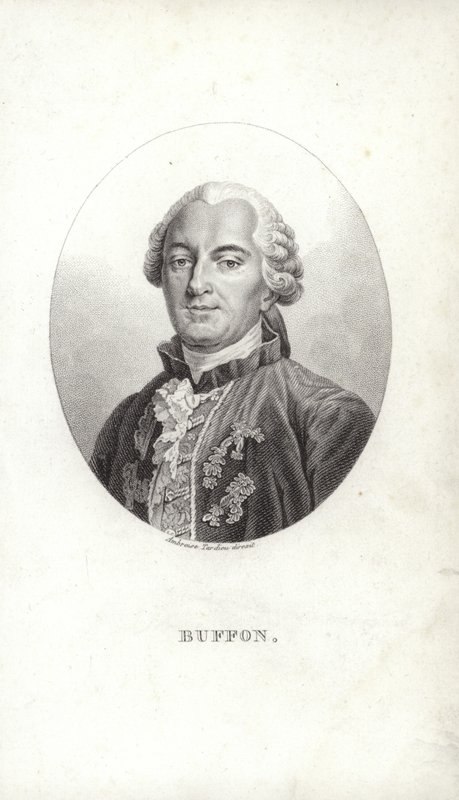Georges-Louis Leclerc by French School