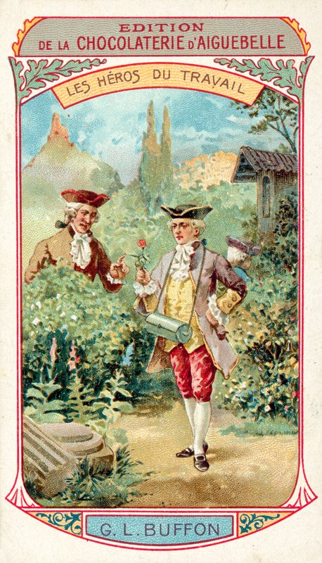 Georges-Louis Leclerc, Comte de Buffon, French Naturalist by French School