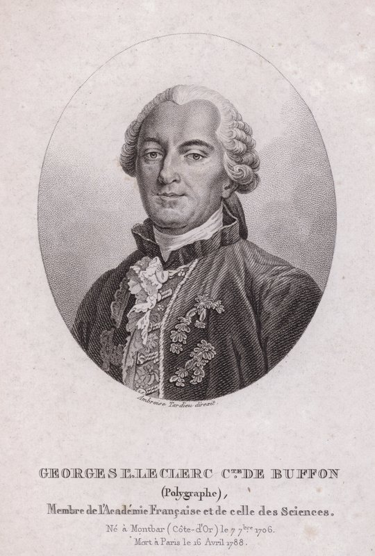 Georges-Louis Leclerc, Comte de Buffon, French scientist and writer by French School