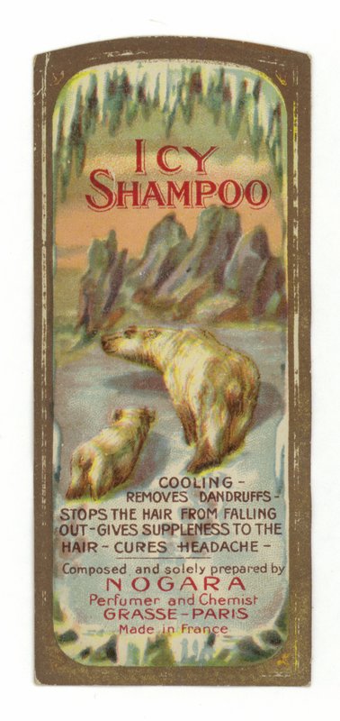 Icy Shampoo Label, Nogara by French School