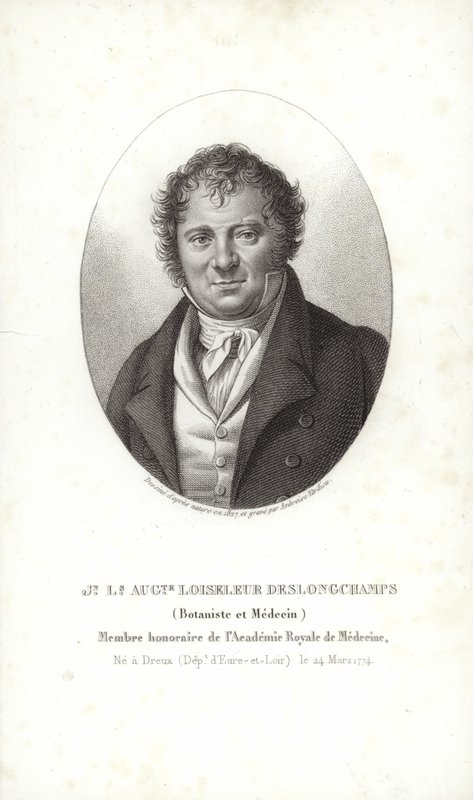 Jean Louis August Loiseleur-Deslongchamps by French School