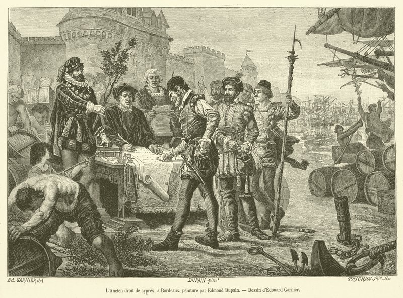 The Old Cypress Law, Bordeaux by French School