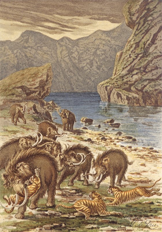 France Before Man, Battle of Mammoths and Giant Cats by French School