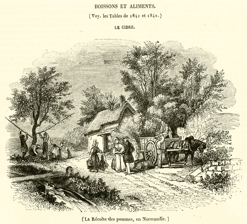 Apple harvest, in Normandy by French School