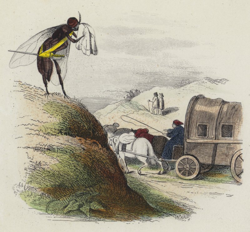 The Coach and the Fly by French School