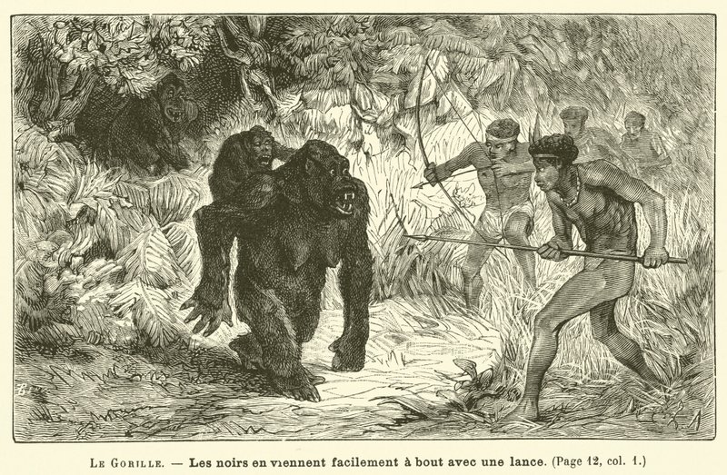 The Gorilla (engraving) by French School