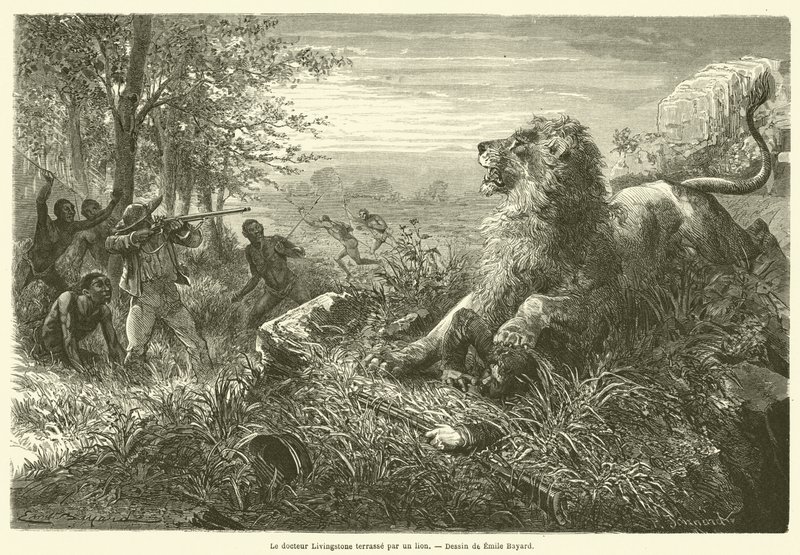 Dr. Livingstone Overpowered by a Lion by French School