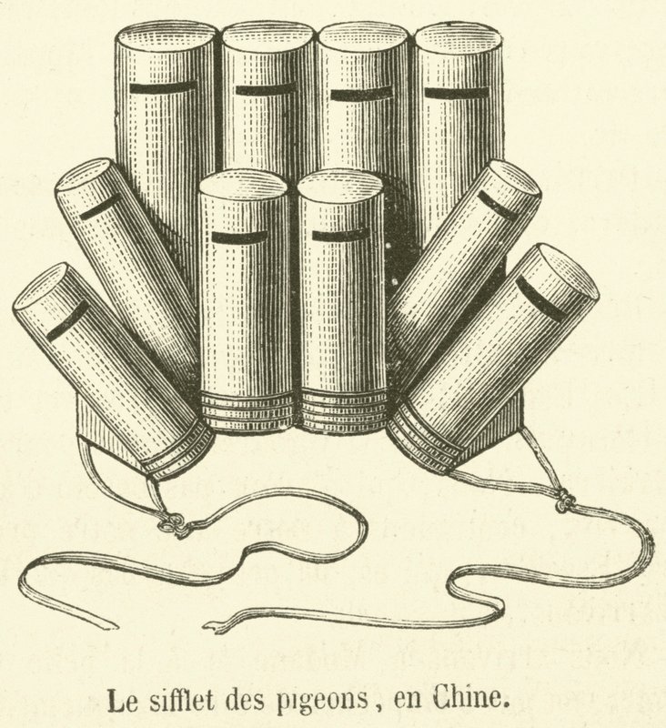 The Whistle of Pigeons, in China (engraving) by French School