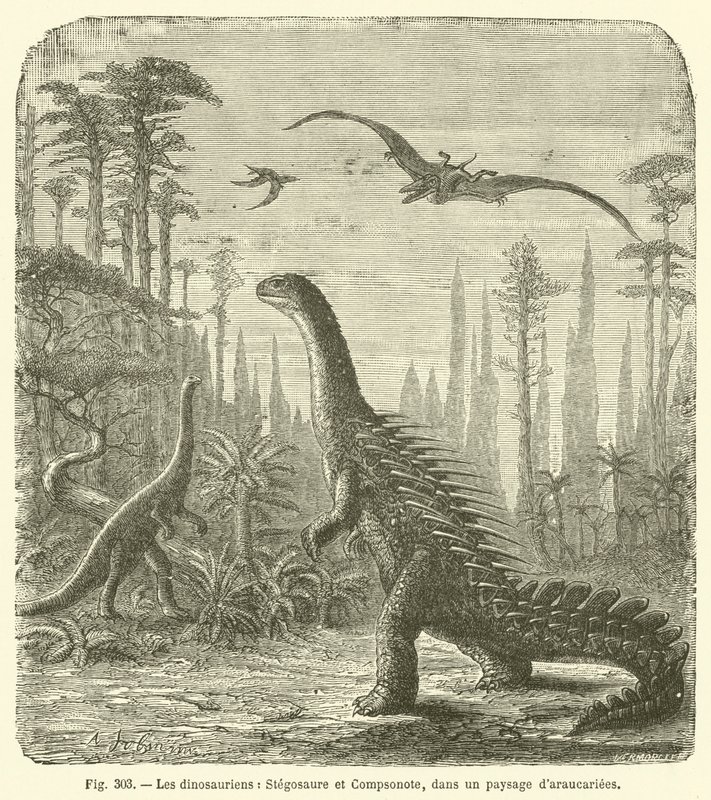 The Dinosaurs, Stegosaurus and Compsognathus, in a Landscape of Araucarias by French School