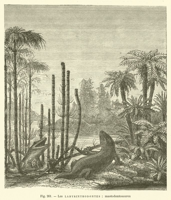 The Labyrinthodonts, Mastodontosaurs by French School