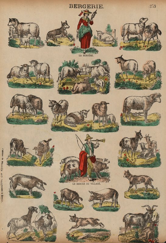 Livestock farming by French School