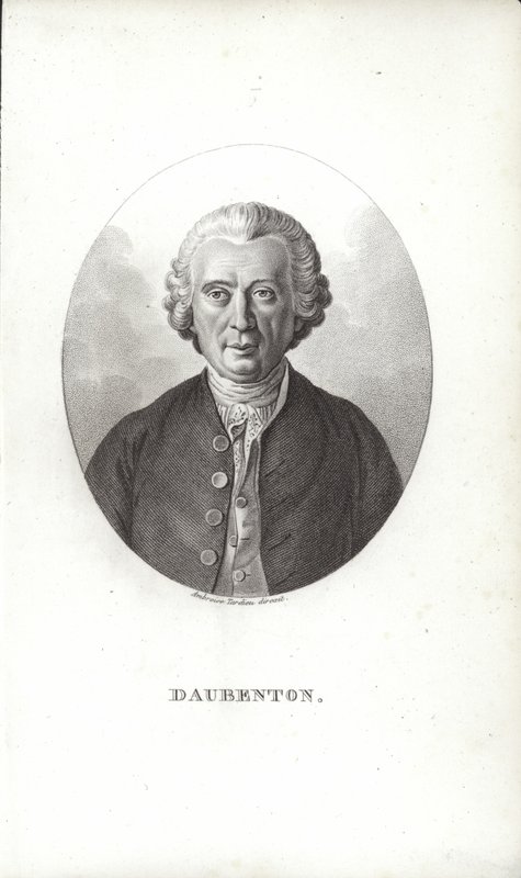 Louis-Jean-Marie Daubenton by French School