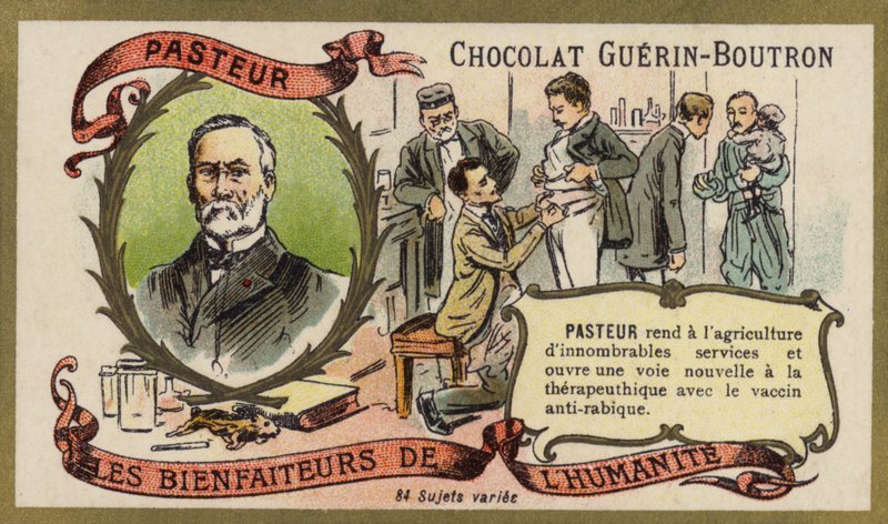 Louis Pasteur, French chemist and microbiologist by French School