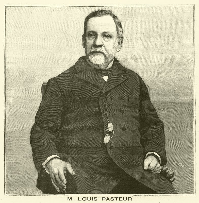 Louis Pasteur, French Microbiologist (engraving) by French School